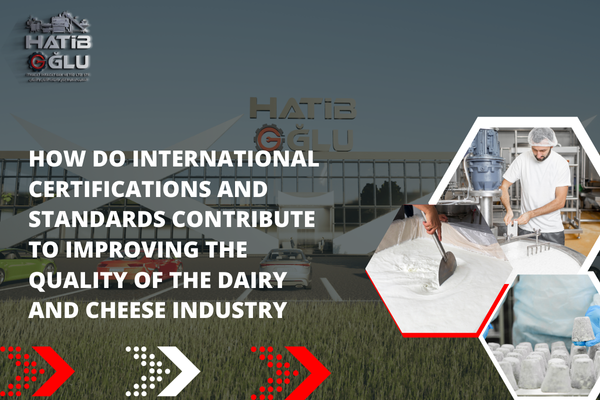 How do international certifications and standards contribute to improving the quality of the dairy and cheese industry